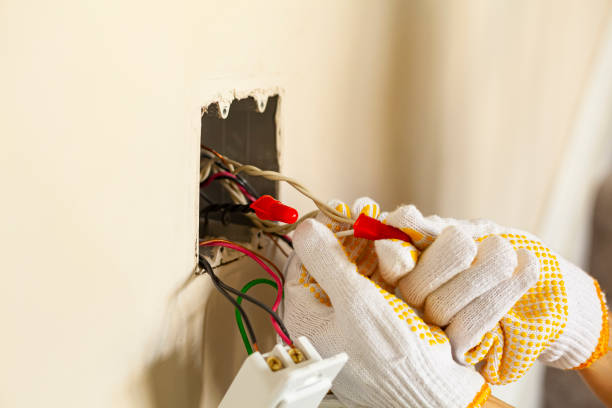 Best Electrical Panel Upgrades  in Shallowater, TX